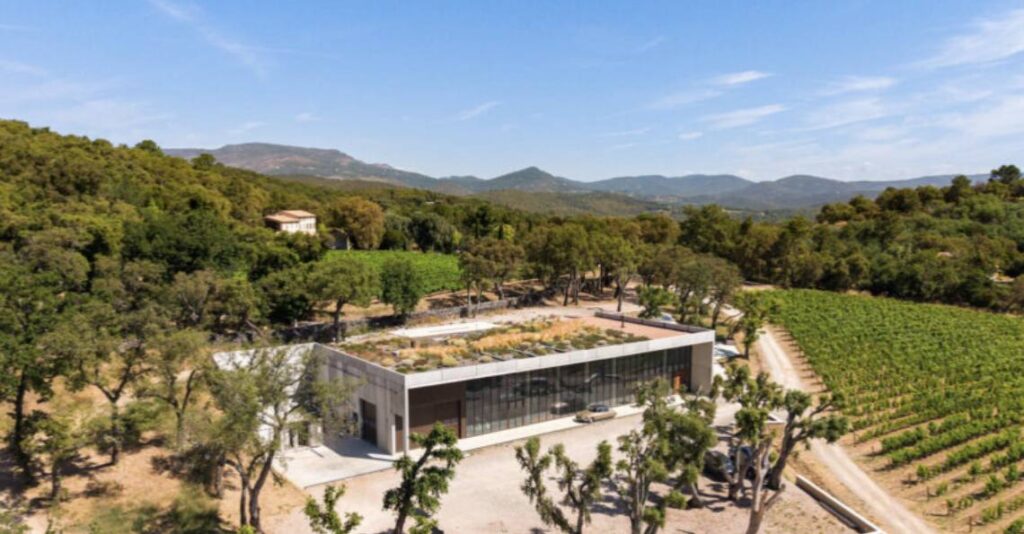 Chai contemporain à toit végétalisé au milieu des vignes du golfe de Saint-Tropez